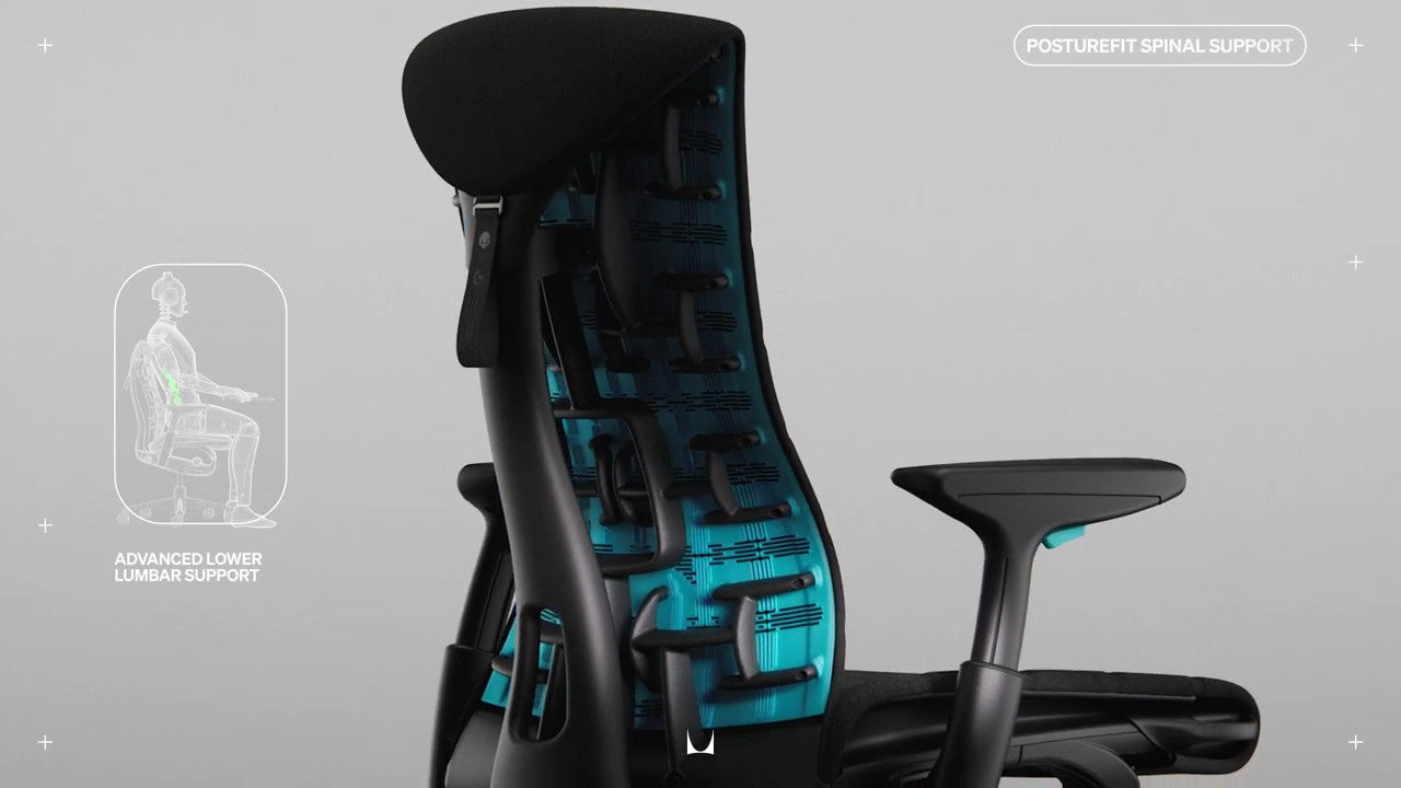 PostureFit Spinal Support