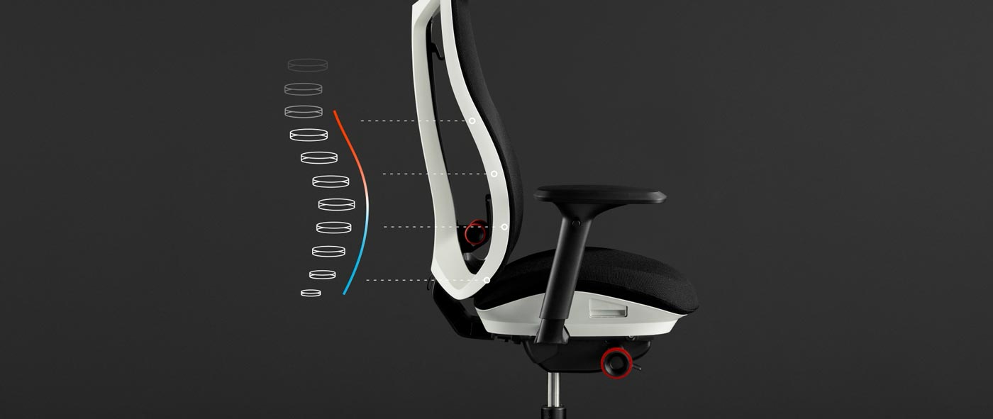 PostureFit Spinal Support