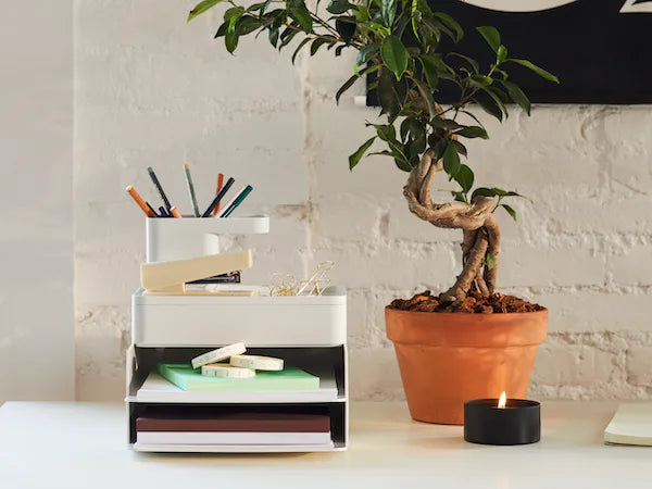 From Mess to Artful Curation