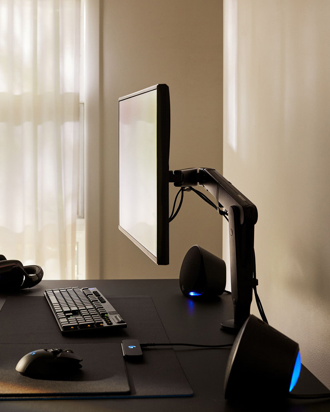 Monitor Arms
