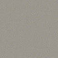 colour_Prone Leather & Script