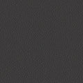 colour_Prone Leather & Obsidian