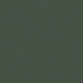 colour_Prone Leather & Vine