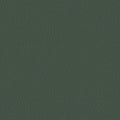 colour_Prone Leather & Vine