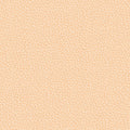 colour_Prone Leather & Balsa