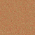 prone leather & bricolage