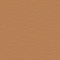 colour_Prone Leather & Bricolage