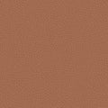colour_Prone Leather & Ledge