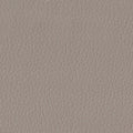 prone leather & root