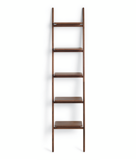 Folk Ladder Shelving