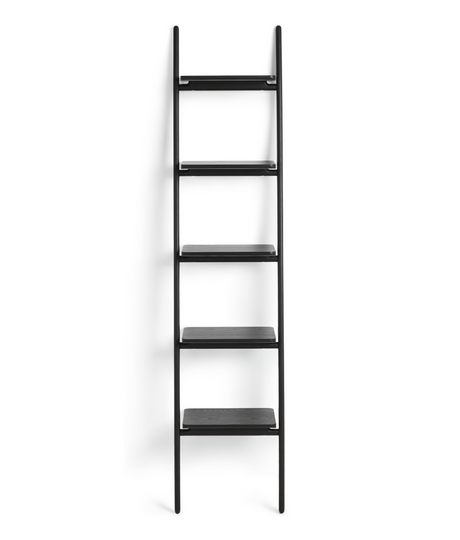Folk Ladder Shelving