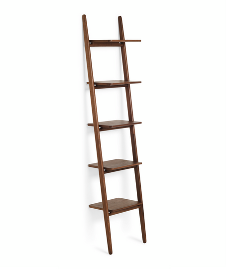 Folk Ladder Shelving
