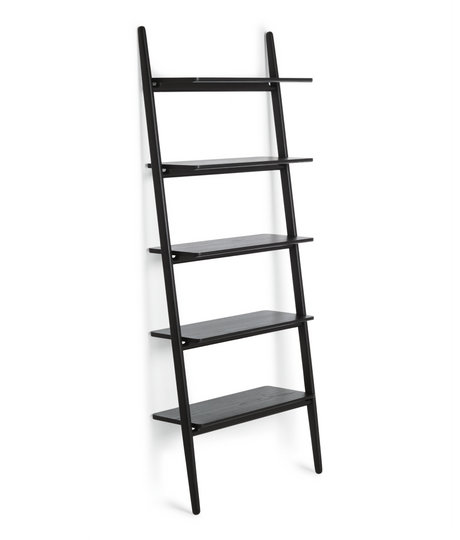 Folk Ladder Shelving