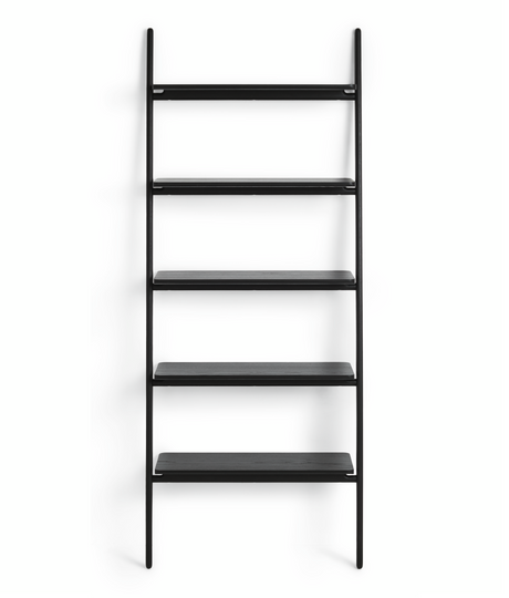 Folk Ladder Shelving