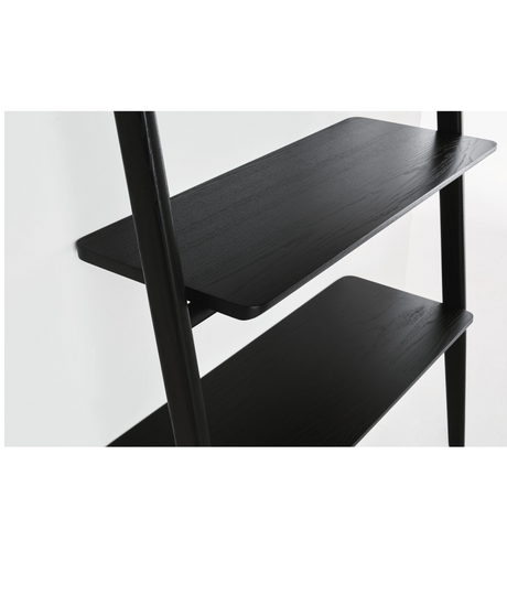 Folk Ladder Desk