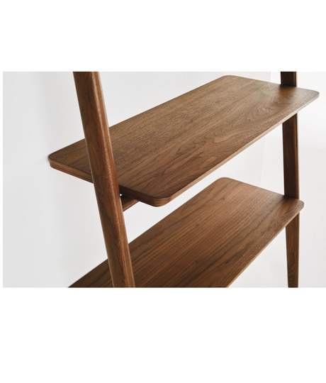 Folk Ladder Desk