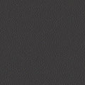 colour_Prone Leather & Obsidian