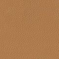 colour_Prone Leather & Shore