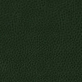 colour_Prone Leather & Vine
