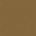 colour_Tempo Velvet & Gazelle