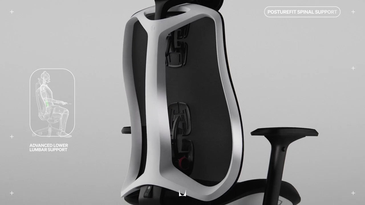 PostureFit Spinal Support