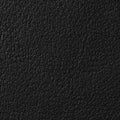 colour_Leather & Black