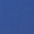 colour_Rhythm & Berry Blue