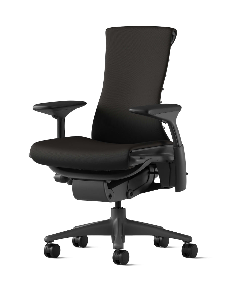 [Quick Ship] Embody Chair